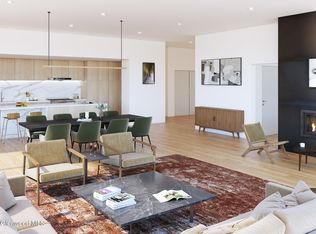 101 Willow Rd #203, Basalt, CO 81621