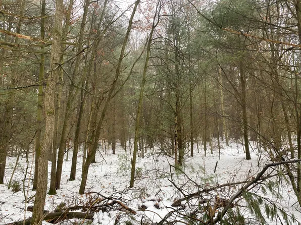 0 Dane St, Gowen, MI 49326