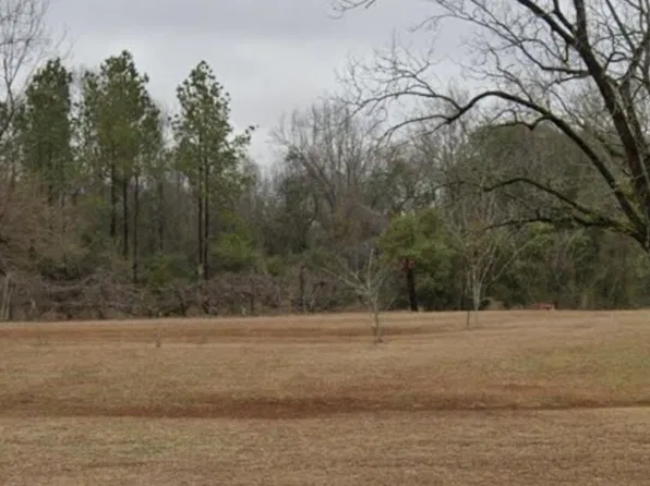 0 County Road 117, Ariton, AL 36311
