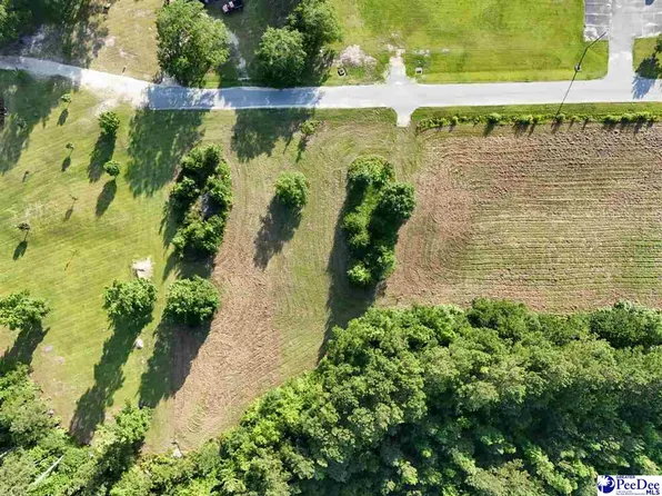 5-5 Commerce Dr, Dillon, SC 29536