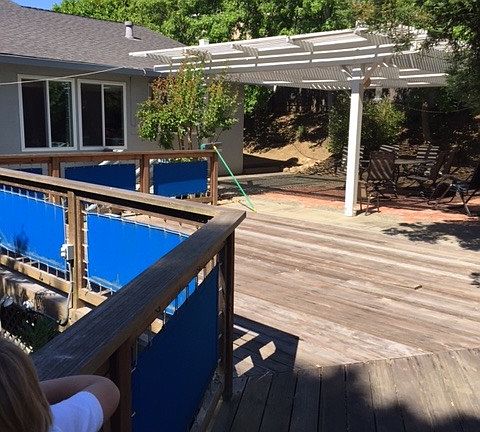 Deck and patio - back yard