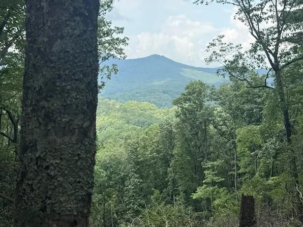 Lot 43 Pine Cove Lane, Murphy, NC 28906