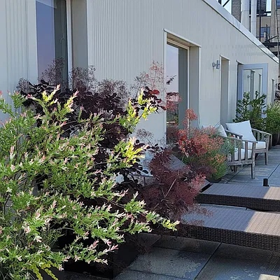 Rented by Mallan Real Estate Inc | media 27