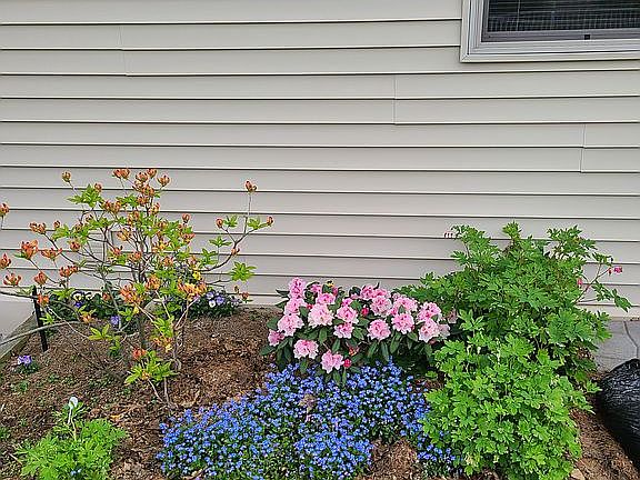 4th image of 1309 Twin Flower Dr