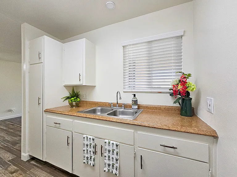 Shady Terrace Apartments! — Photo 7