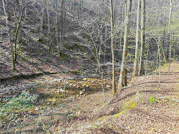 5th image of Jones Valley Rd