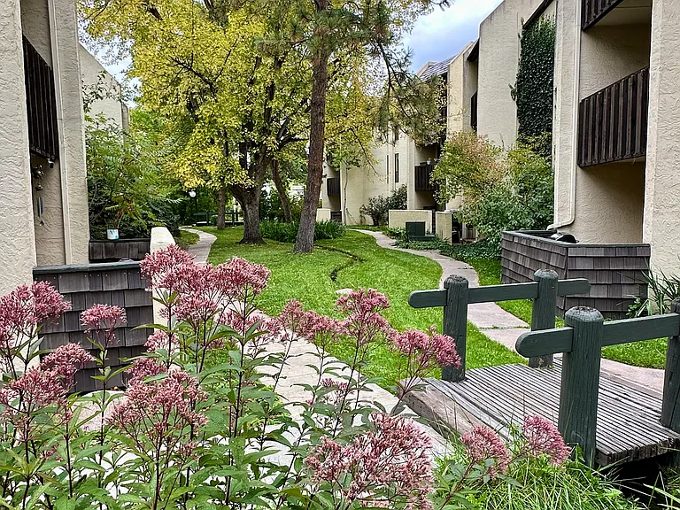 Glenpond Apartments — Photo 13