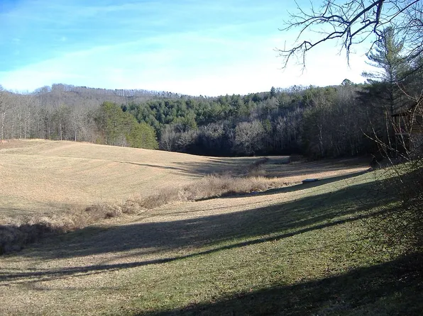 6754 Cutcane Rd, Mineral Bluff, GA 30559