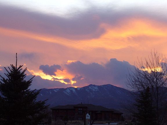 View from back yard