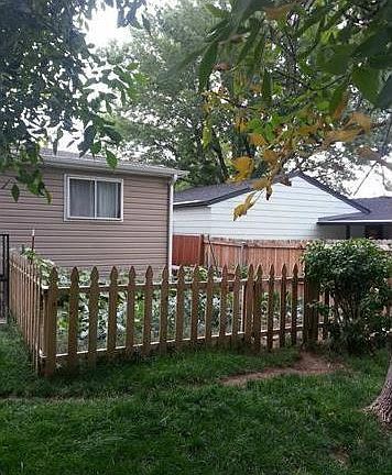 Backyard 1