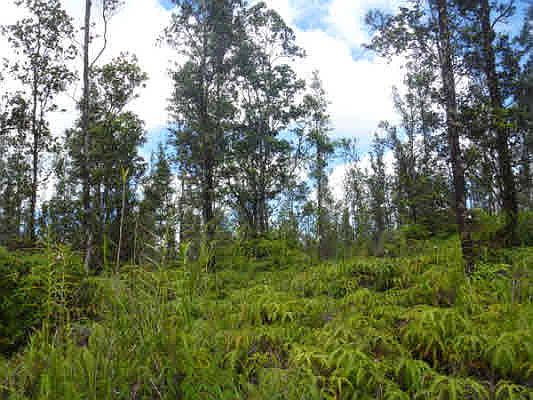 2nd image of Road 3 Hopue Lot 3160