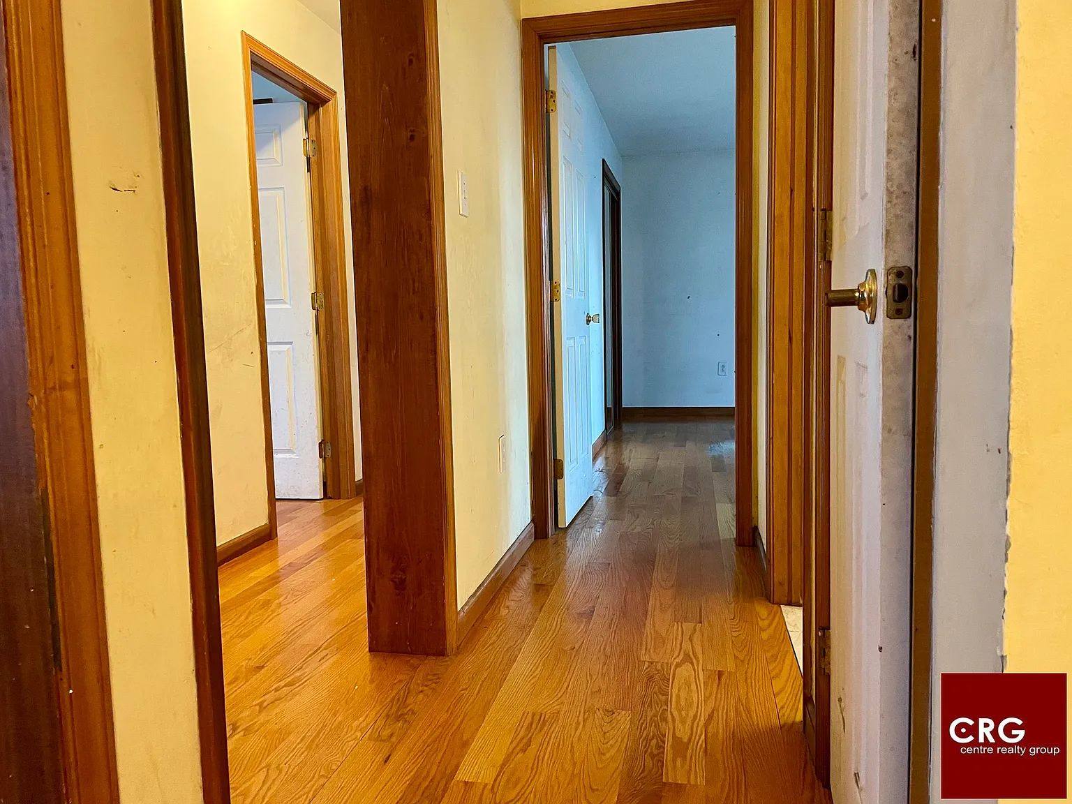 3 bed, 1.0 bath, 1000 sqft, $3,000 — Photo 4
