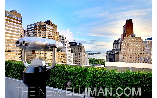 Rented by Douglas Elliman | media 26