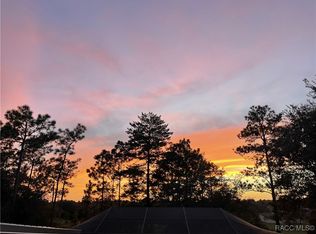 6650 N Bernzott Point, Dunnellon, FL 34433