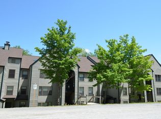 28 Fowler Rd #N301, Ludlow, VT 05149