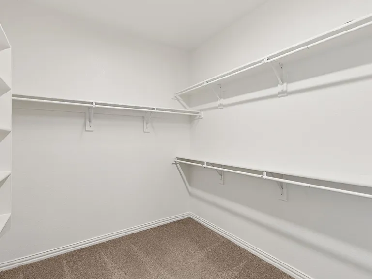 Primary Closet