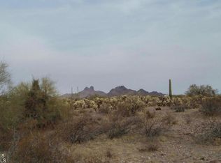 307000 N 315th Ave #162-3, Wittmann, AZ 85361