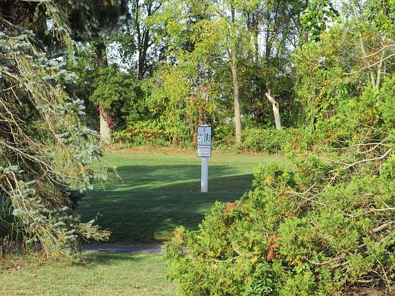 8th Tee Box