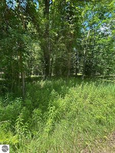 E Point Lookout Rd, Au Gres, MI, 48703