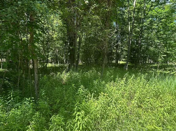 E Point Lookout Rd, Au Gres, MI 48703