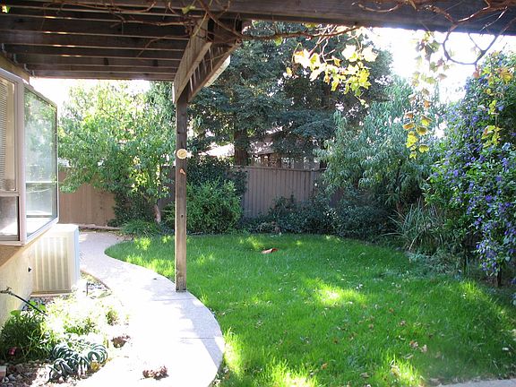 relaxing back yard