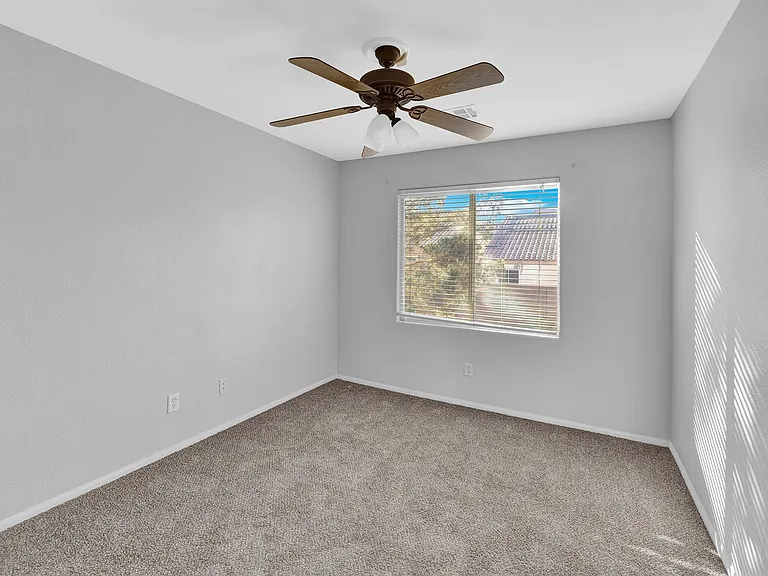 1009 Black Olive St — Photo 15