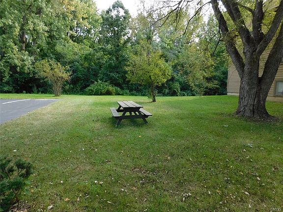 2nd image of 224 Watertree Dr
