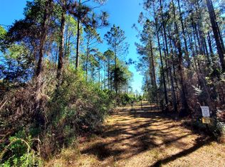 0 Rick & Bat Rd, Perry, FL 32347