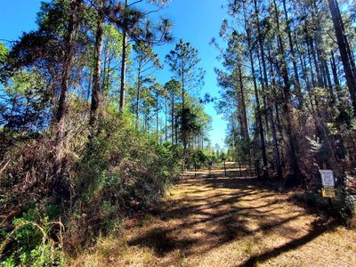0 Rick & Bat Rd, Perry, FL, 32347