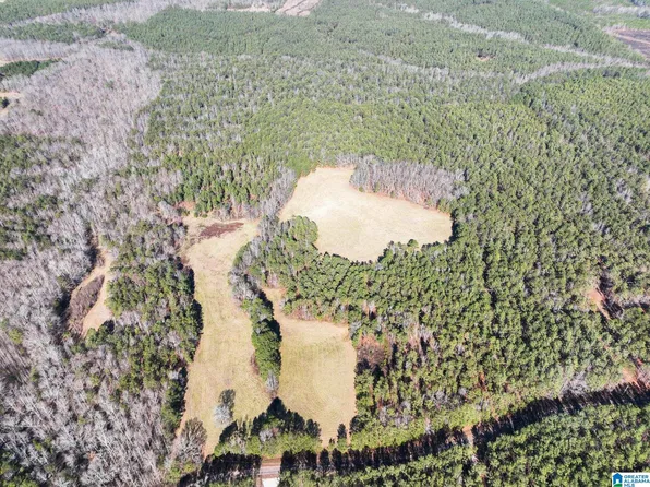 50/ACRE S County Road 632, Roanoke, AL 36274