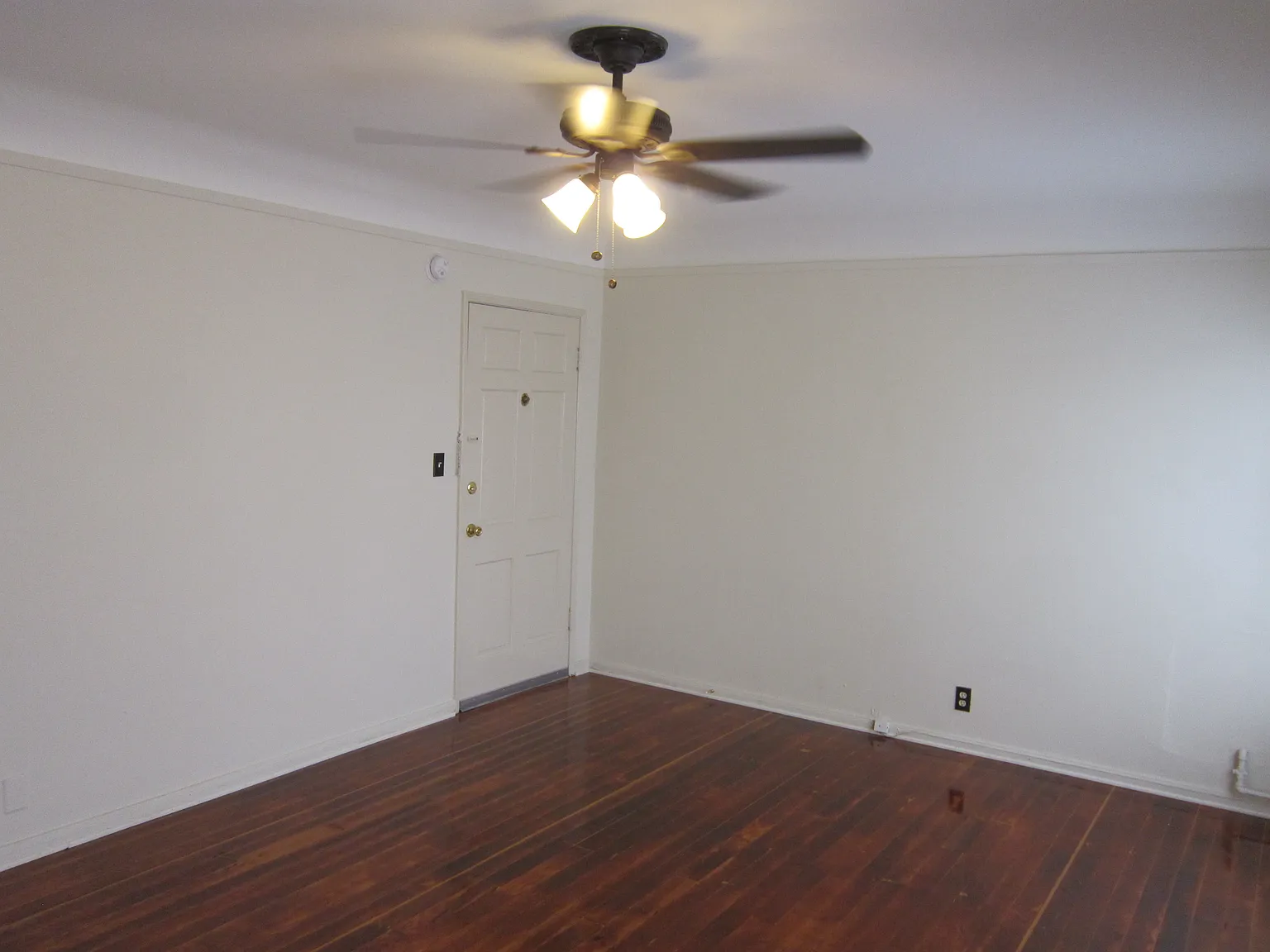 Studio, 400 sqft, $1,495 — Photo 3