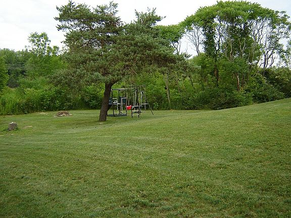 back yard
