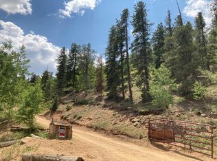 1744 Clark Rd, Bailey, CO 80421