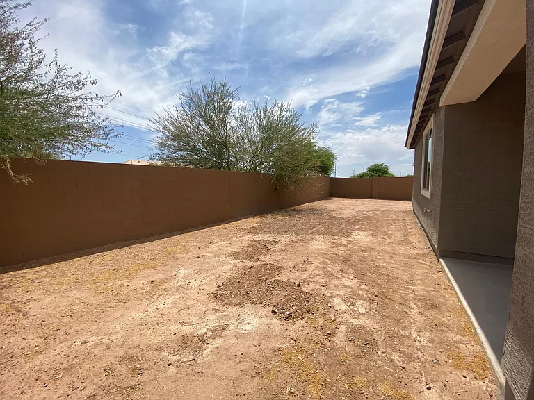 Back yard