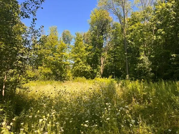 LOT 3 60th Ave, Woodville, WI 54028