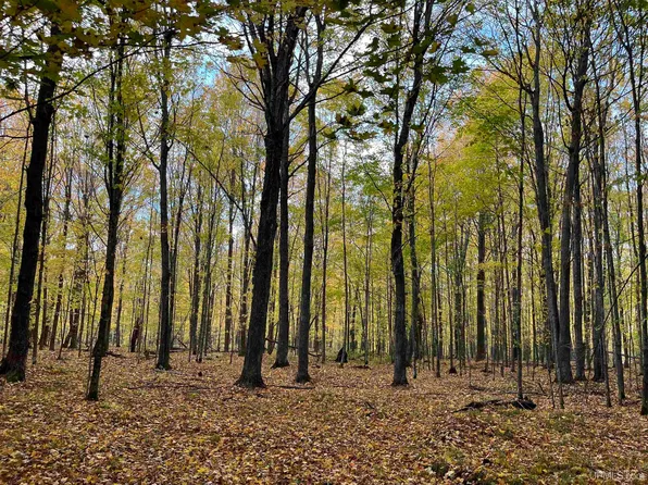 3 Porcupine Lake Rd, Long Lake, WI 54542
