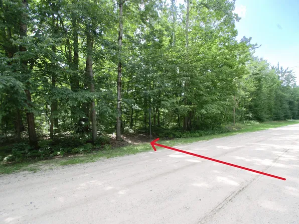 Valleyview, Elmira, MI 49730
