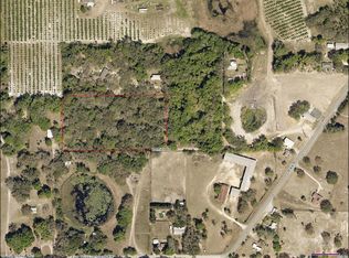 35131 Damien Rd, Leesburg, FL 34788