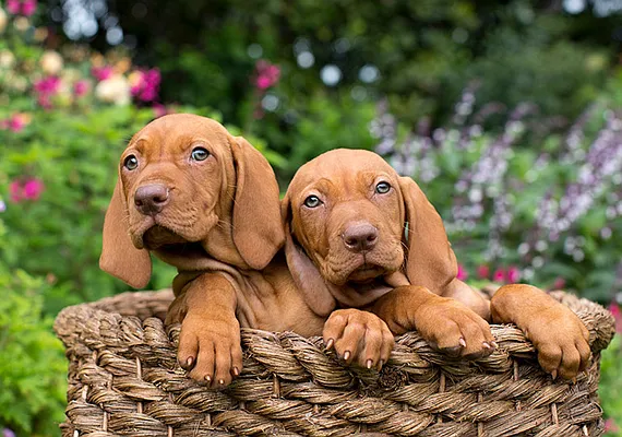 Rented by Blip LLC | media 21