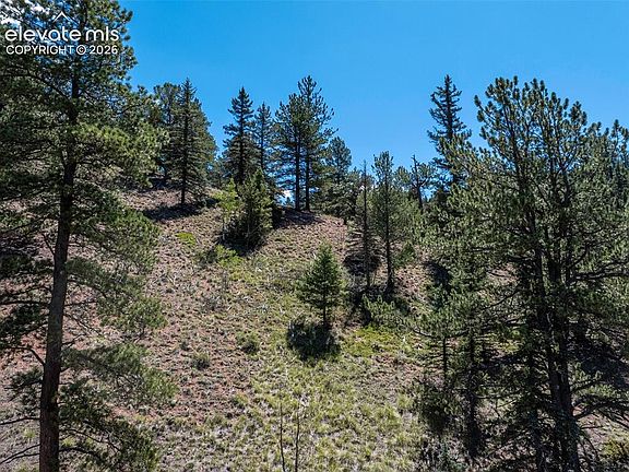 5th image of 1676 Pathfinder Rd