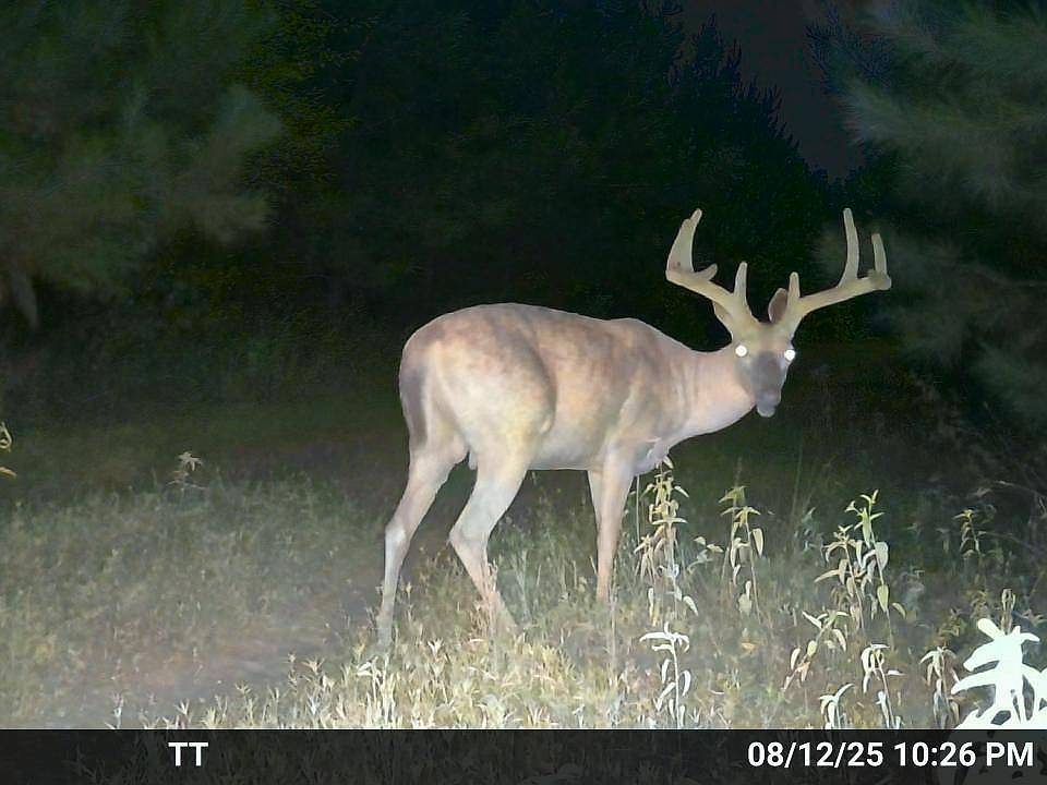 1st image of 5941 W Highway 8