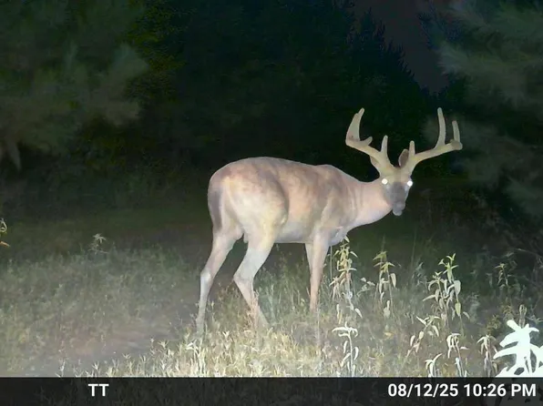 5941 W Highway 8, Sparkman, AR 71763