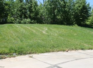 18SL Morningview Ridge Cir, Wadsworth, OH 44281