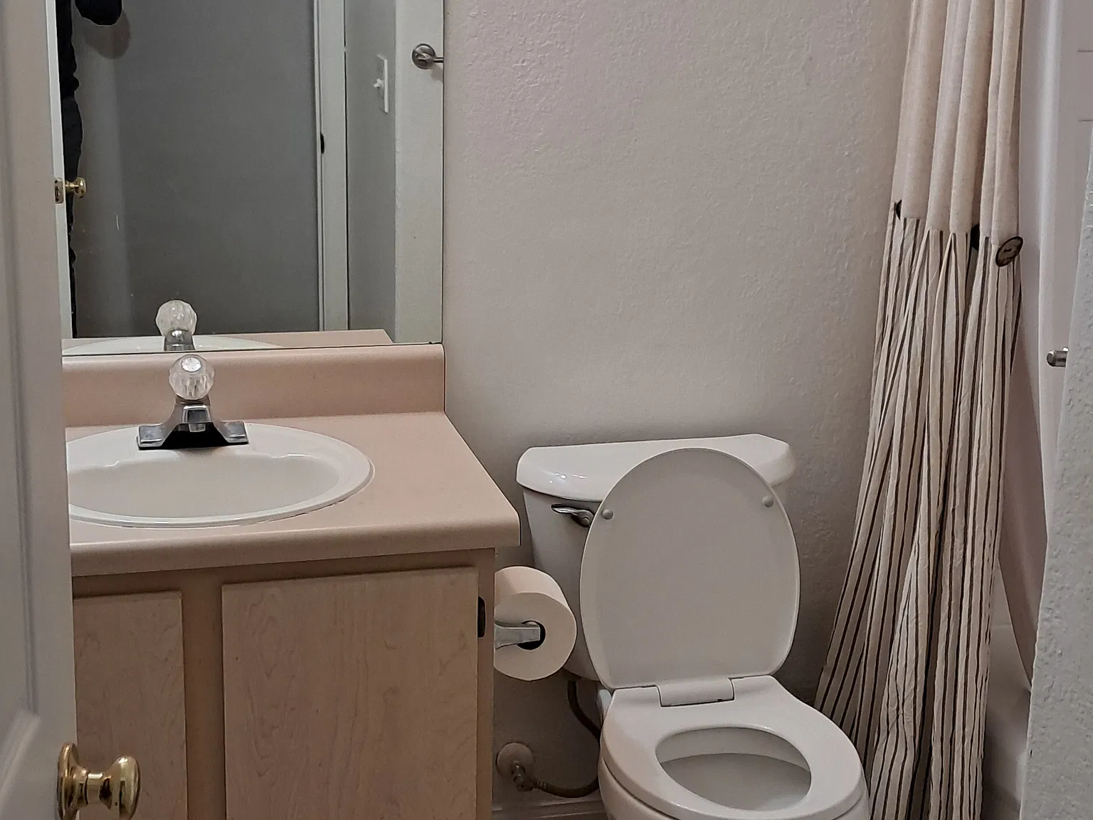 1 bed, 787 sqft, $1,250 — Photo 3