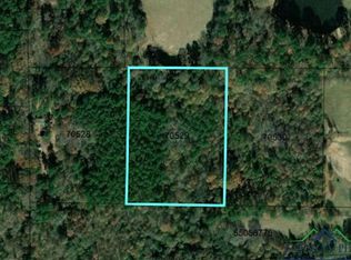 Hawk Rd, Diana, TX 75640