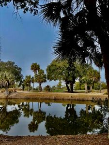 16 Twin Oaks Ln, Isle Of Palms, SC, 29451