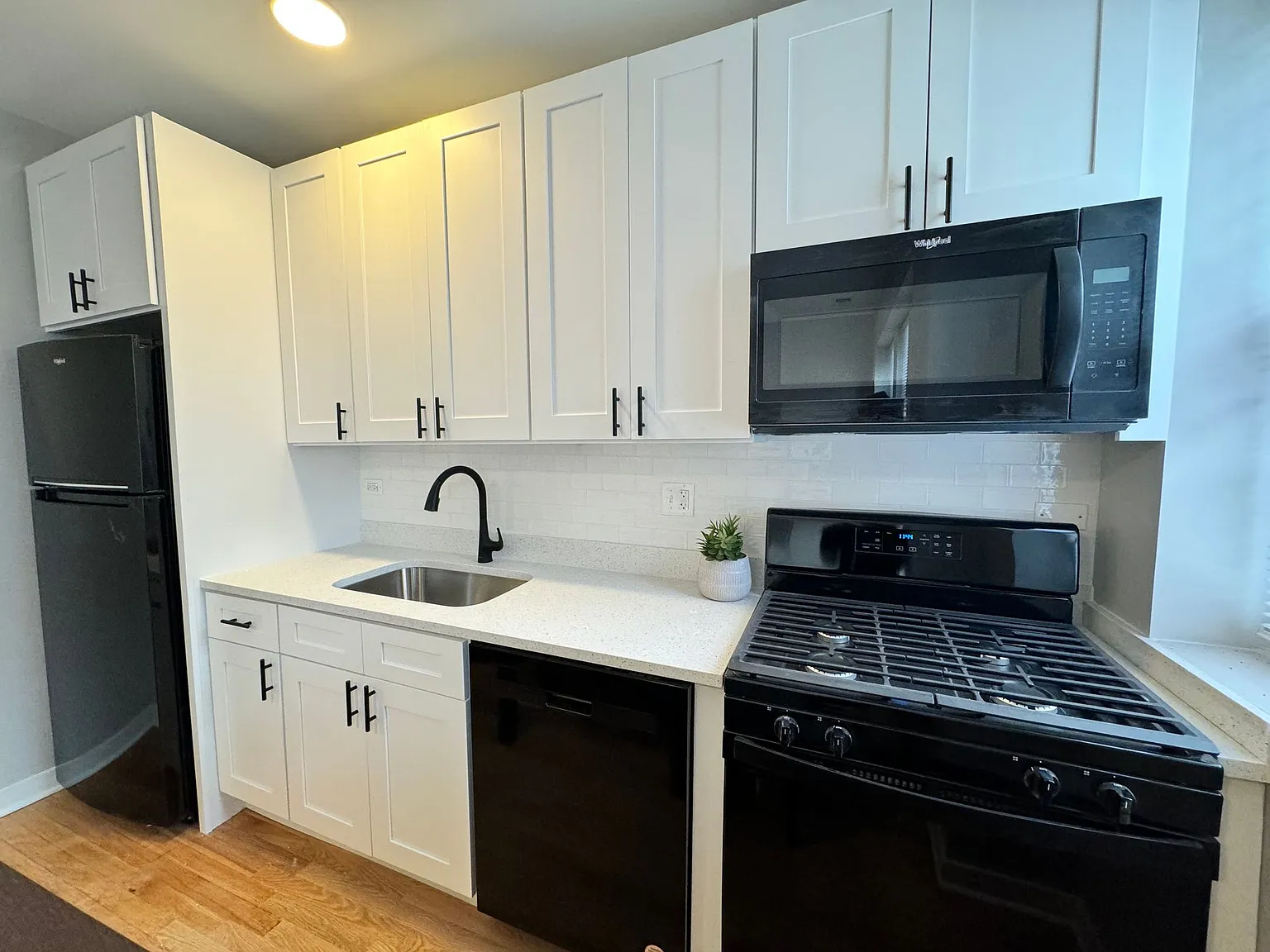 Leland Albany Commons — Photo 4