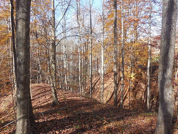 74th image of this home