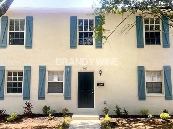 803 E Baker St, Tampa, FL 33603