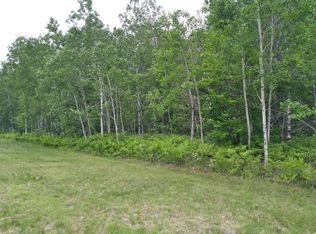123 Montrose Dr, Mancelona, MI 49659